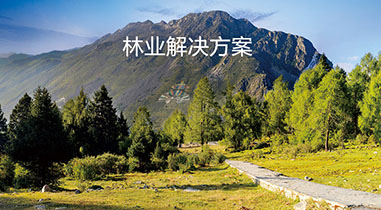 林業解決方案